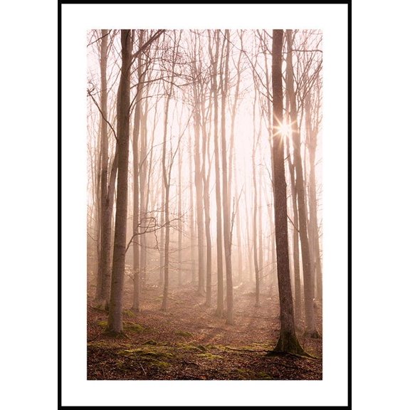 Sunlight In The Forest Poster Wall Art, Modern Wall Decor For Living Room Bedroom, 8x12 UNFRAMED