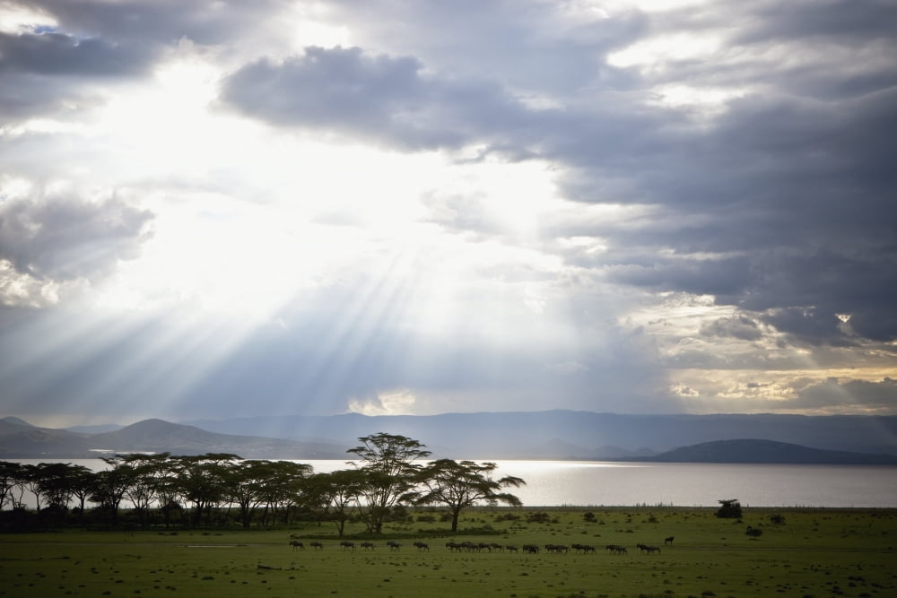 Sunlight Shines Down Through The Clouds Onto A Lake Kenya Canvas Art - David DuChemin Design Pics (19 x 12)