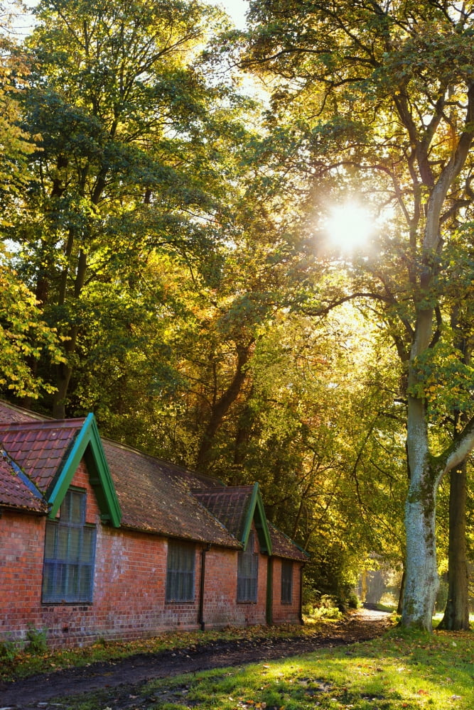 Sunlight Shines Through The Trees Onto The Grass Beside A Brick Building Durham England Canvas Art - John Short Design Pics (12 x 19)