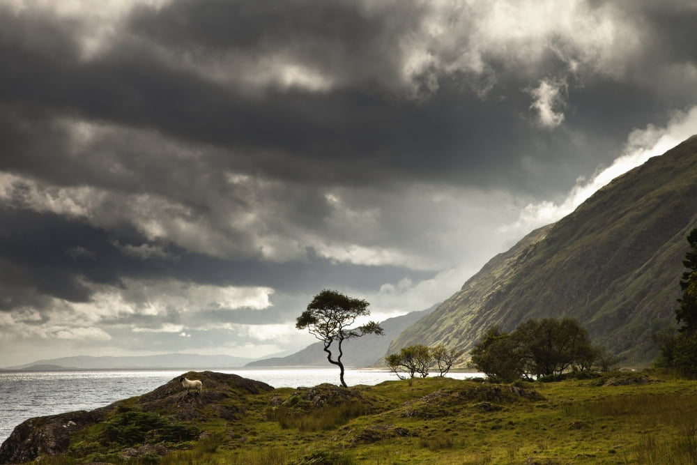 Sunlight Shingin Through The Storm Clouds Over The Water Along The Coastline Ardnamurchan Argyl Scotland Canvas Art - John Short Design Pics (19 x 12)