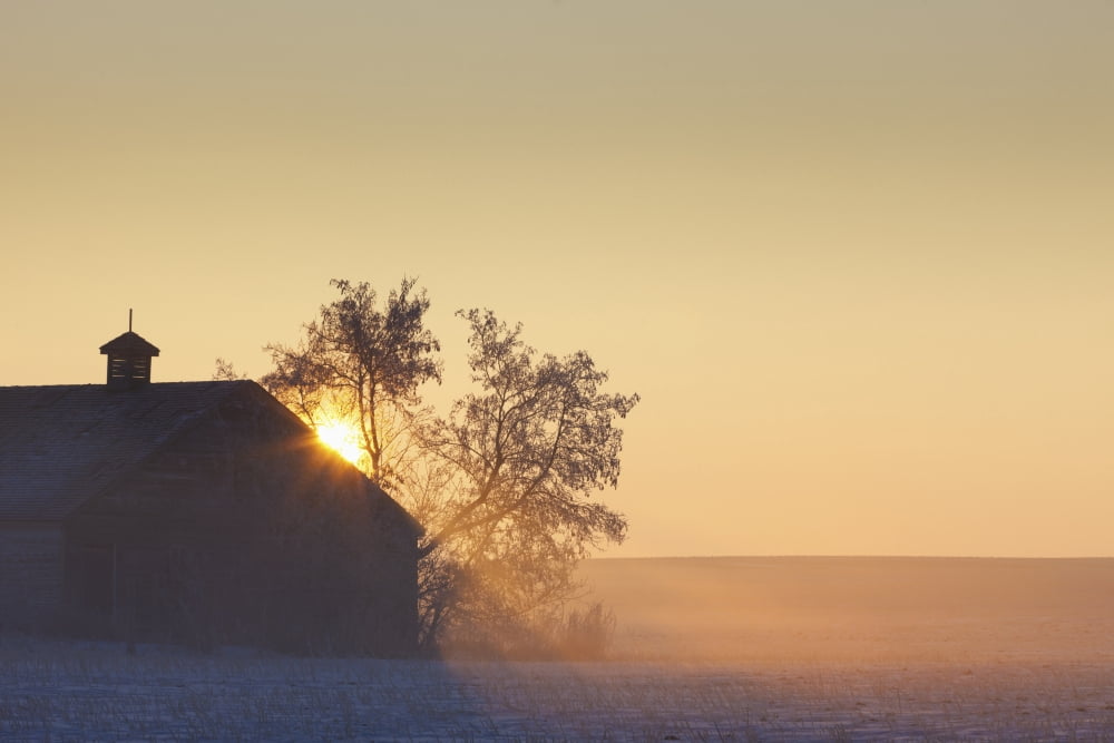 Sunlight Shining Behind A House In A Rural Area Parkland County Alberta Canada Canvas Art - Steve Nagy Design Pics (19 x 12)