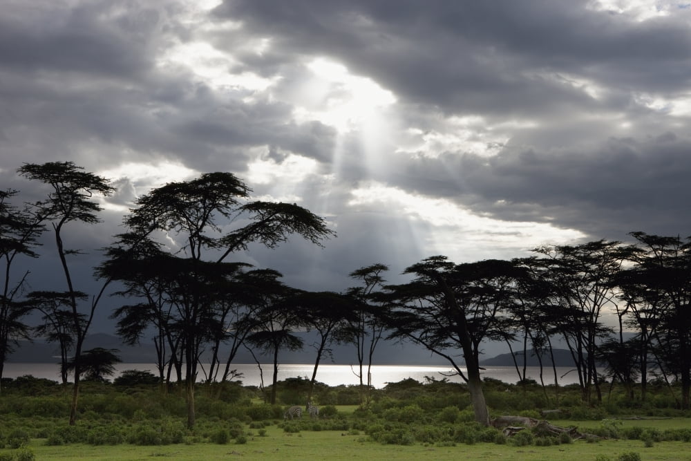 Sunlight Shining Through The Dark Clouds With Trees On The Shoreline Kenya Africa Canvas Art - David DuChemin Design Pics (19 x 12)