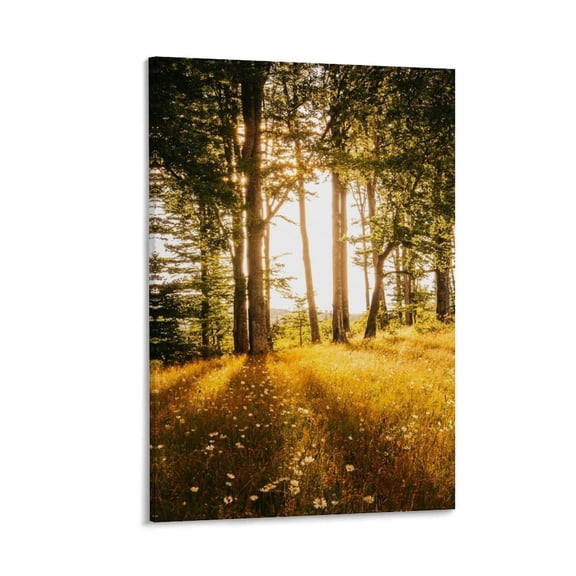 Sunlight Through Forest, Wildflower Meadow Canvas Art with Frame, 12x8 in