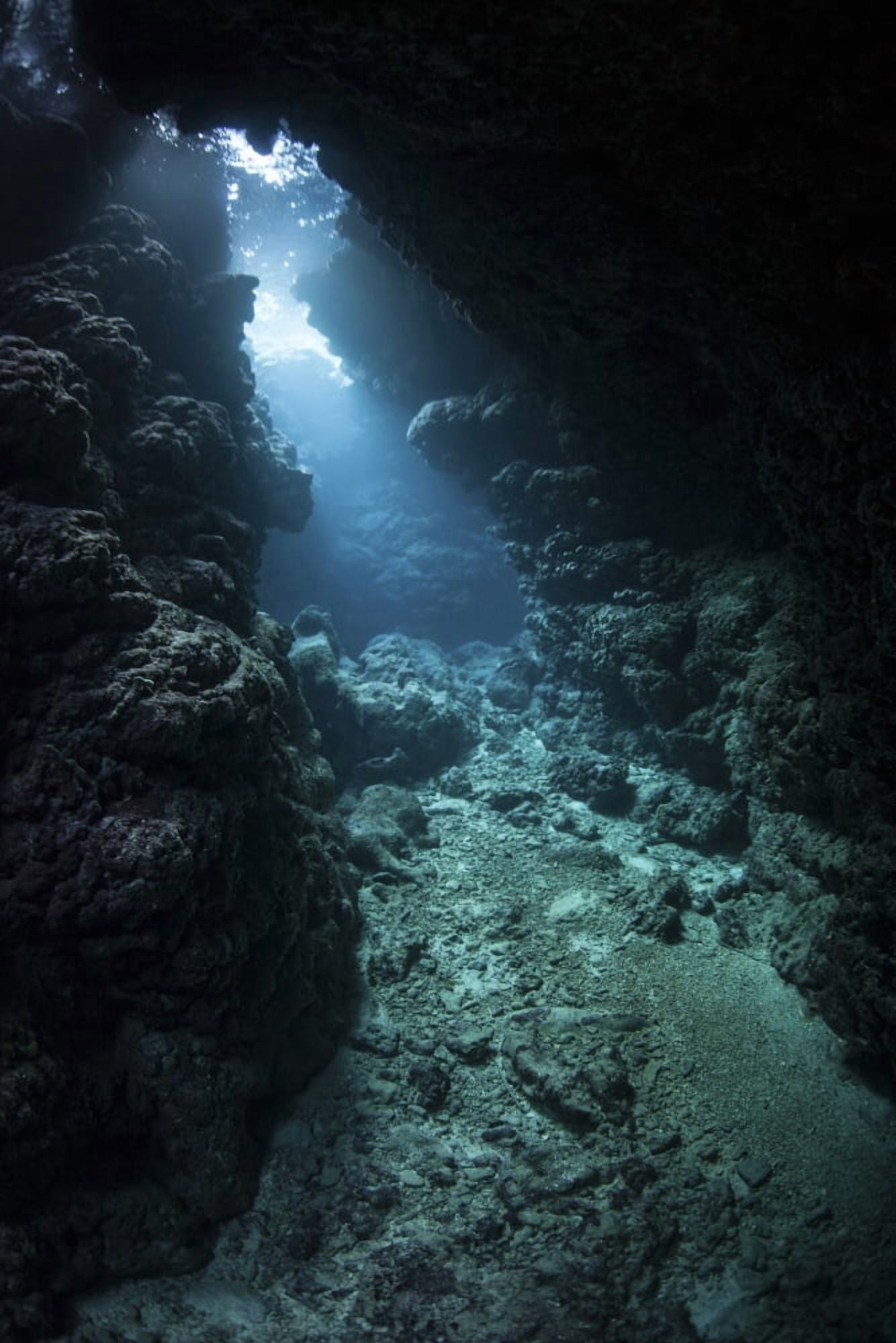 Sunlight descends underwater and into a crevice in a reef in the Solomon Islands Canvas Art - Ethan DanielsStocktrek Images (12 x 17)
