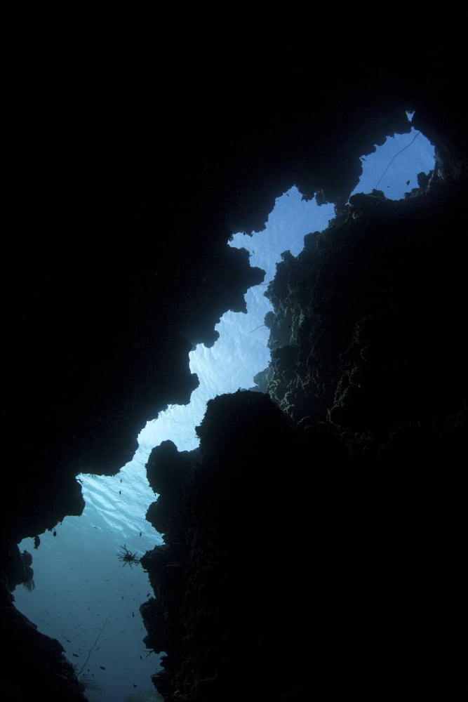 Sunlight illuminates a submerged grotto on a reef in the Solomon Islands Canvas Art - Ethan DanielsStocktrek Images (23 x 34)