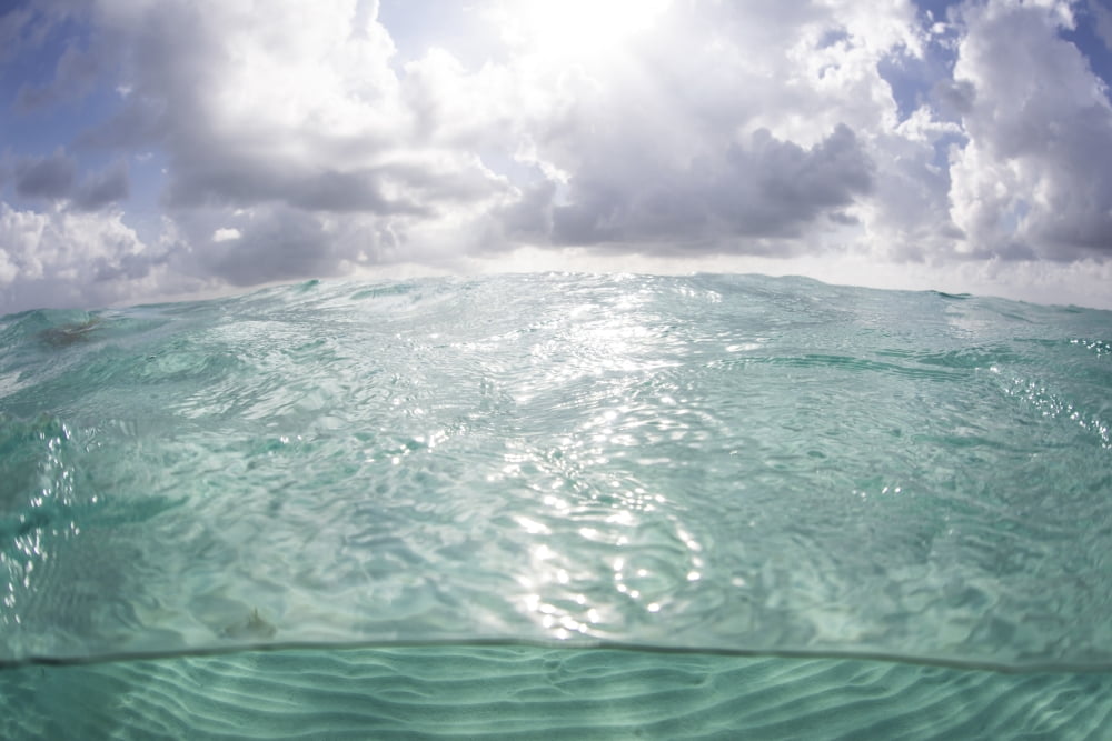 Sunlight illuminates the turquoise water in Turneffe Atoll Belize Canvas Art - Ethan DanielsStocktrek Images (17 x 12)
