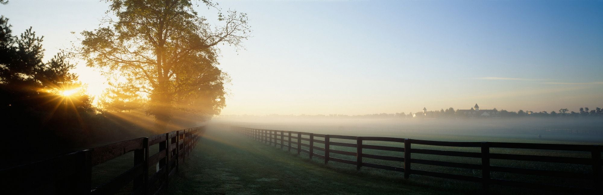 Sunlight passing through trees Horse Farm Woodford County Kentucky USA Canvas Art - Panoramic Images (27 x 9)