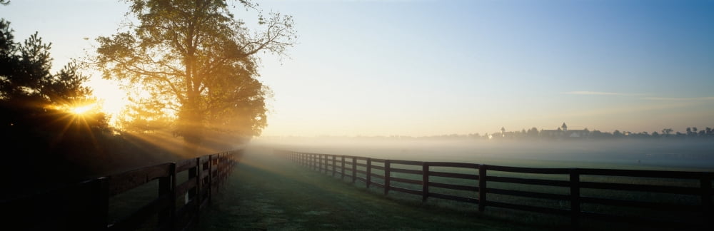 Sunlight passing through trees Horse Farm Woodford County Kentucky USA Canvas Art - Panoramic Images (36 x 12)