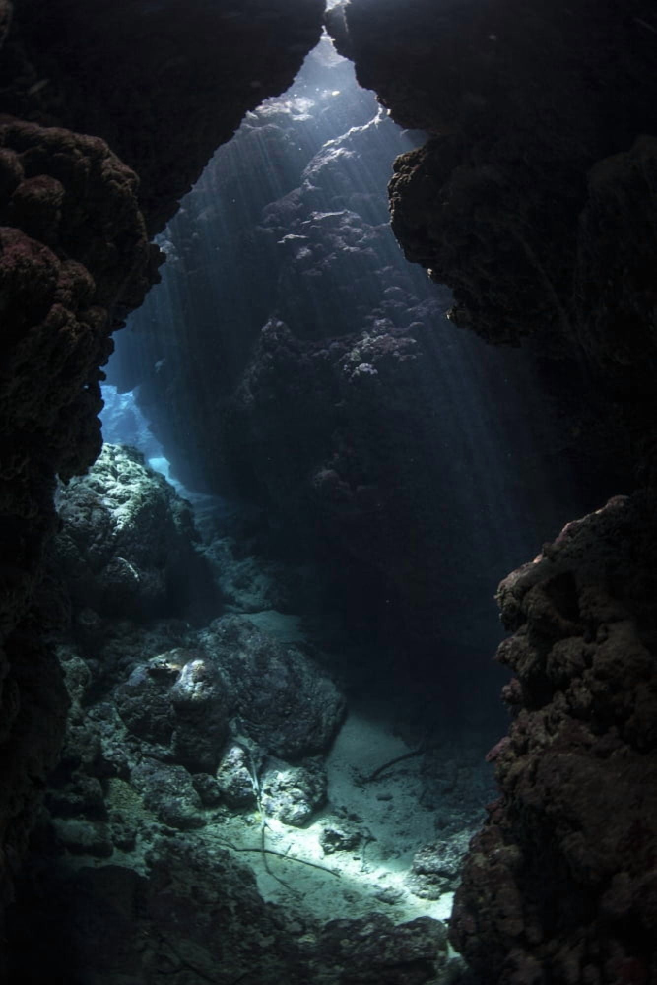 Sunlight pours into a submerged cavern on a reef in the Solomon Islands Canvas Art - Ethan DanielsStocktrek Images (12 x 17)