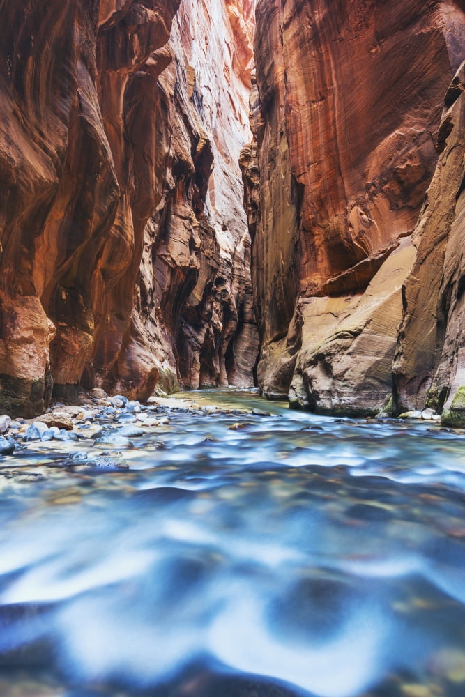 Sunlight reflecting in the virgin river narrows in zion national parkUtah united states of america Canvas Art - MakenaStockMedia Design Pics (24 x 38)