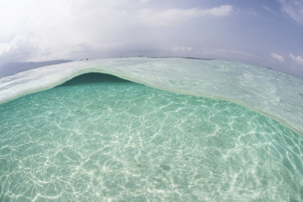 Sunlight ripples across a shallow sand flat in Indonesia Canvas Art - Ethan DanielsStocktrek Images (18 x 12)
