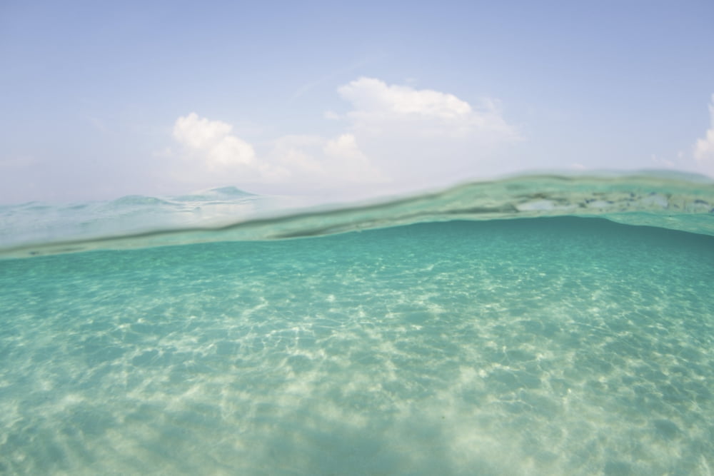 Sunlight ripples across a shallow sand flat in Indonesia Canvas Art - Ethan DanielsStocktrek Images (35 x 24)