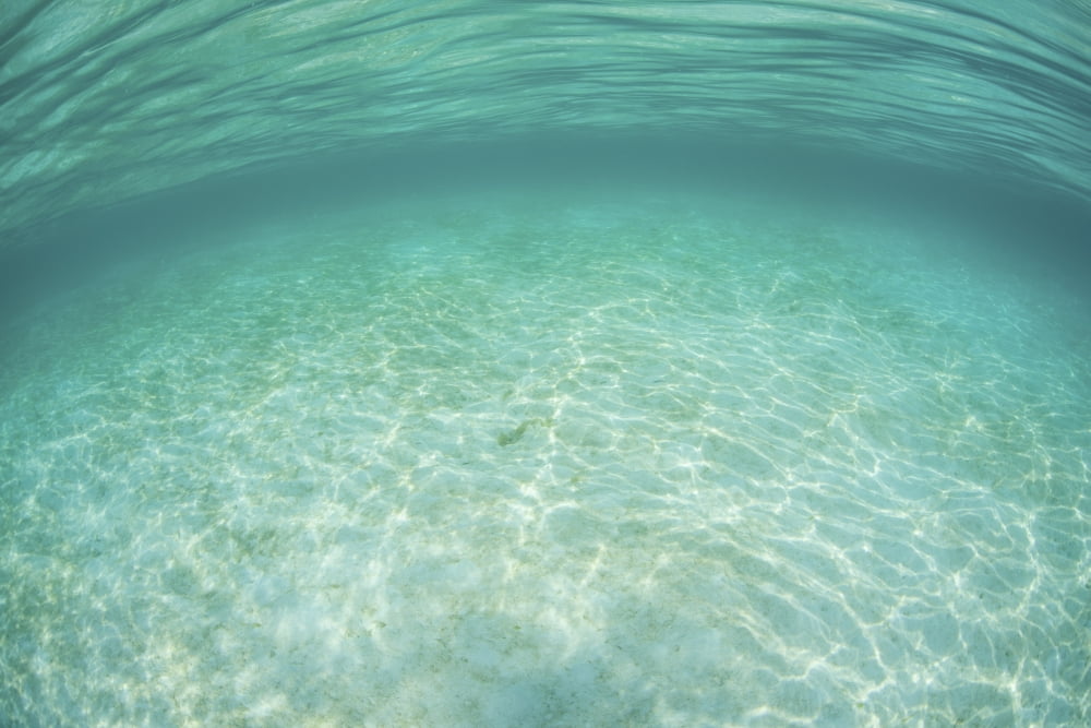 Sunlight ripples across a shallow sand flat in Indonesia Canvas Art - Ethan DanielsStocktrek Images (35 x 24)