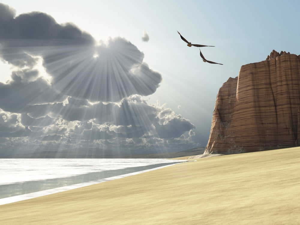 Sunlight shines down on two birds flying near a cliff by the ocean Canvas Art - Corey FordStocktrek Images (17 x 13)