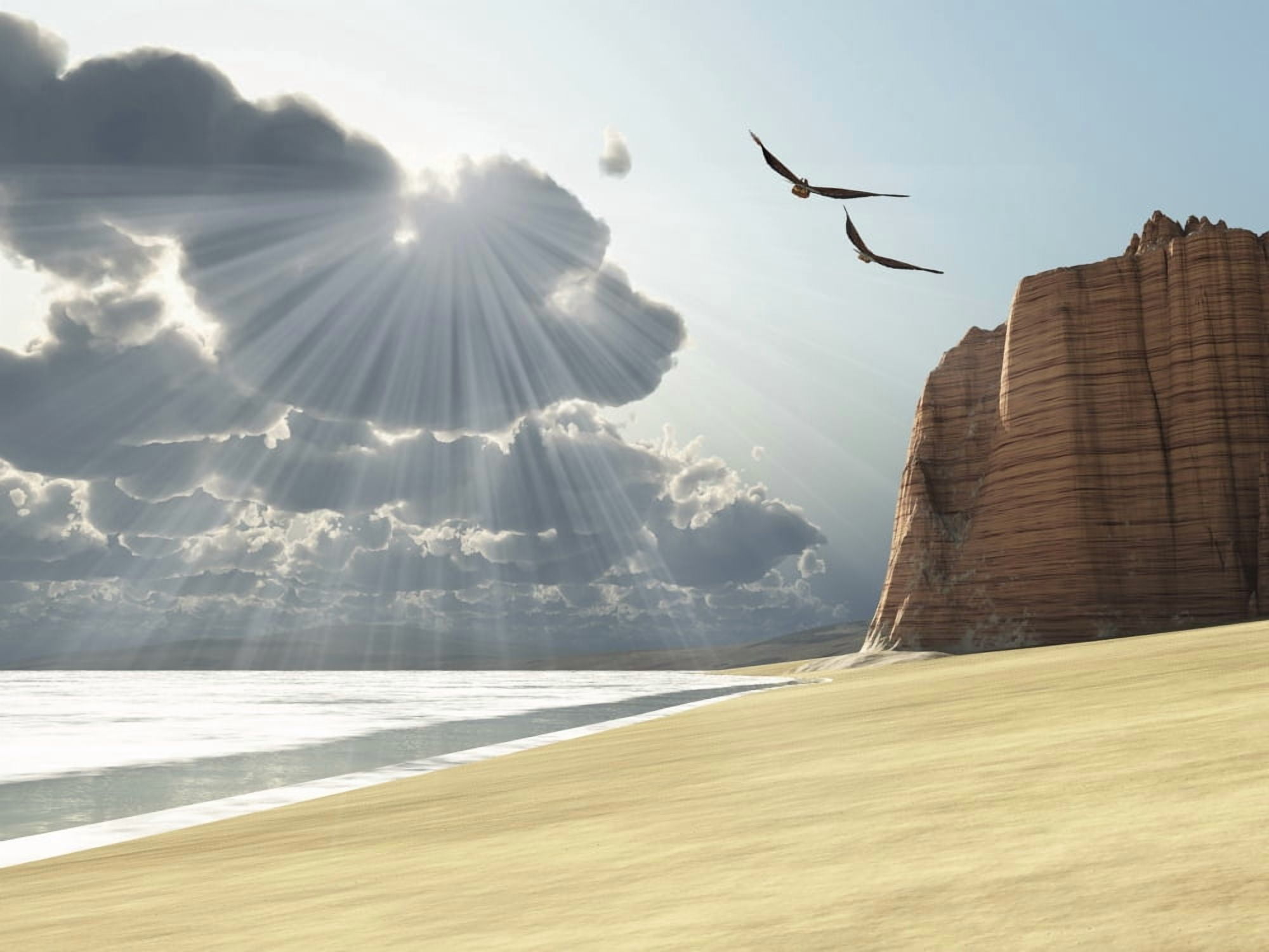 Sunlight shines down on two birds flying near a cliff by the ocean Canvas Art - Corey FordStocktrek Images (33 x 25)