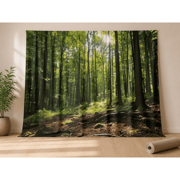Sunlit Green Forest Woodland Photography Backdrop