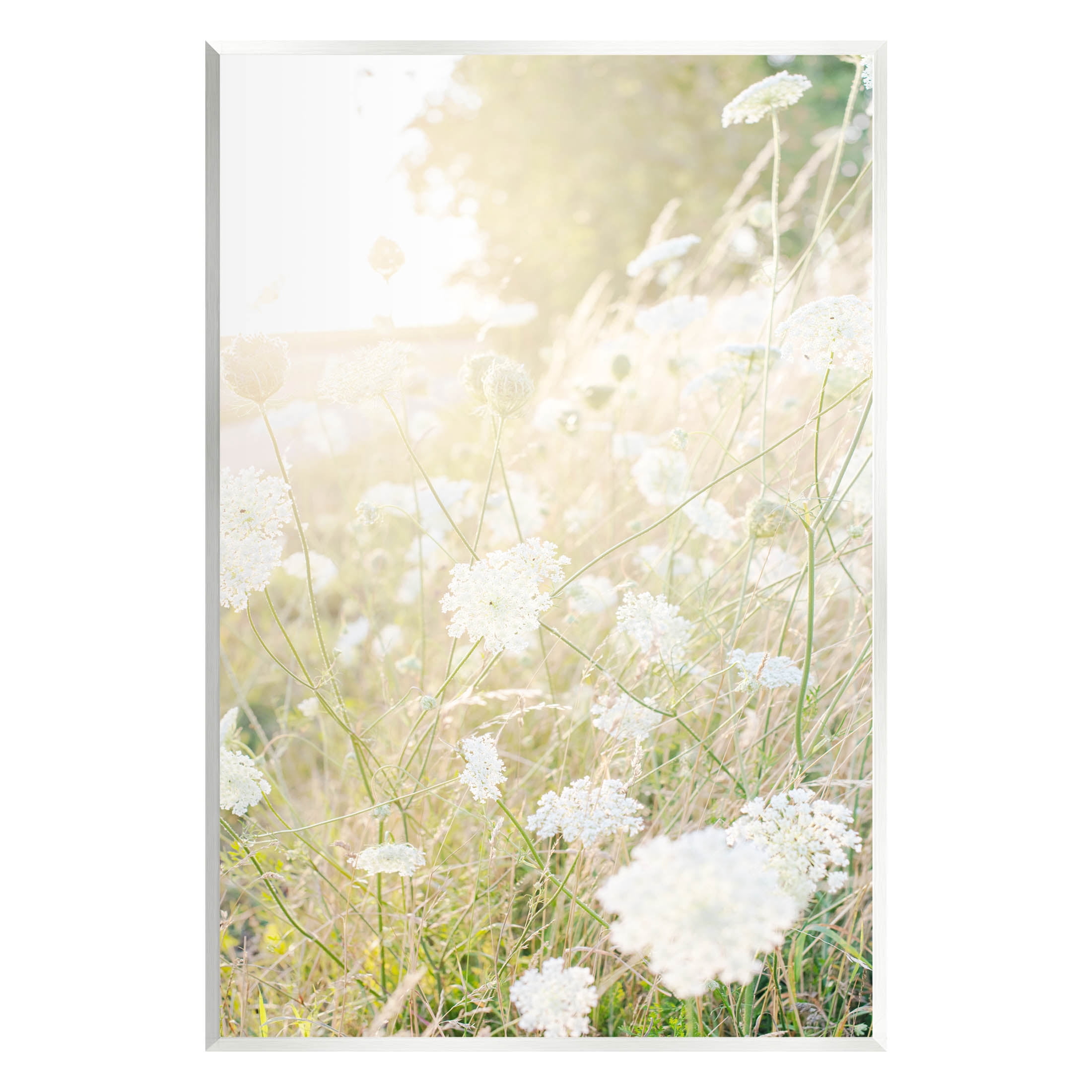 Sunlit Meadow Blooming Wildflowers Landscape Photograph Unframed Art Print Wall Art