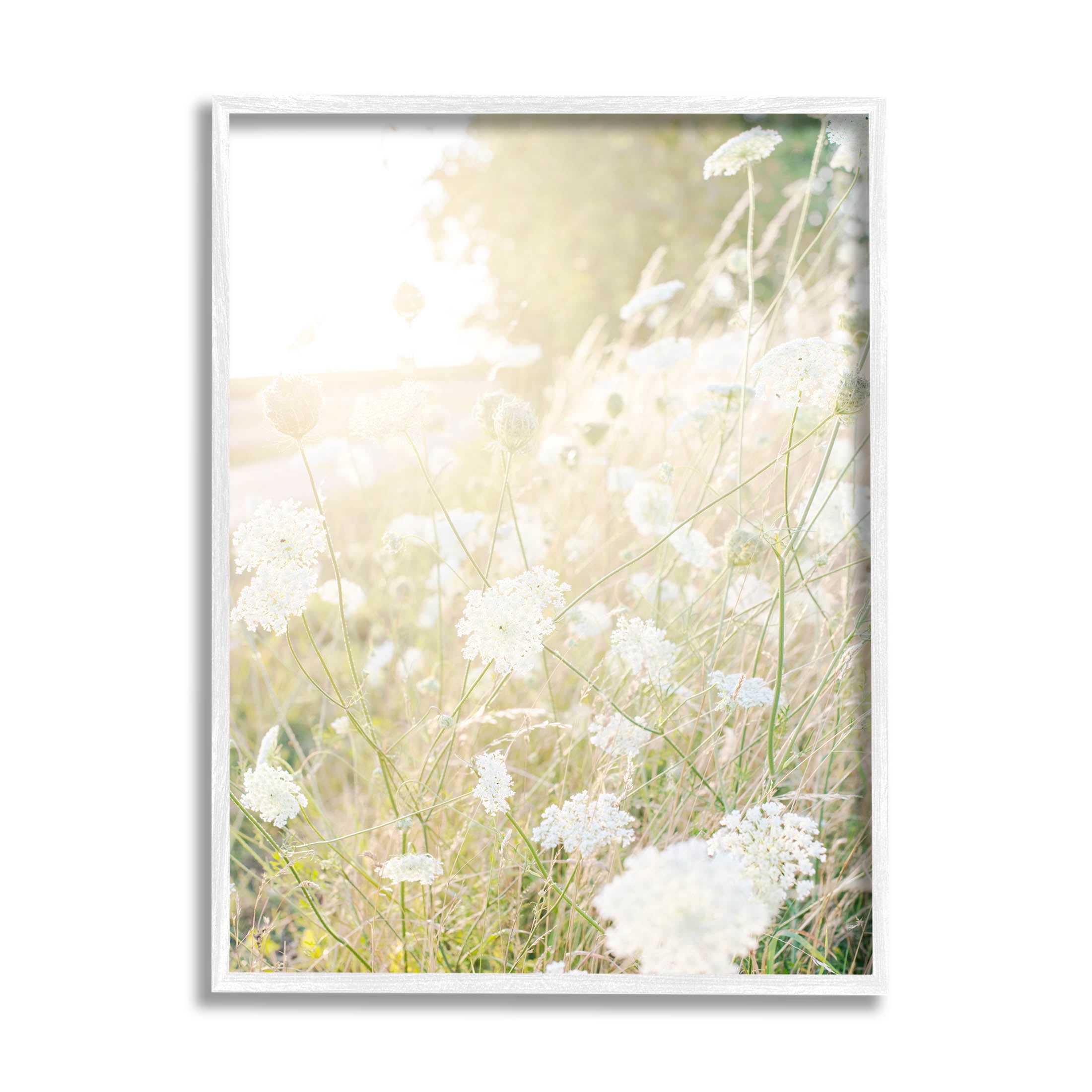Sunlit Meadow Blooming Wildflowers Landscape Photograph White Framed Art Print Wall Art