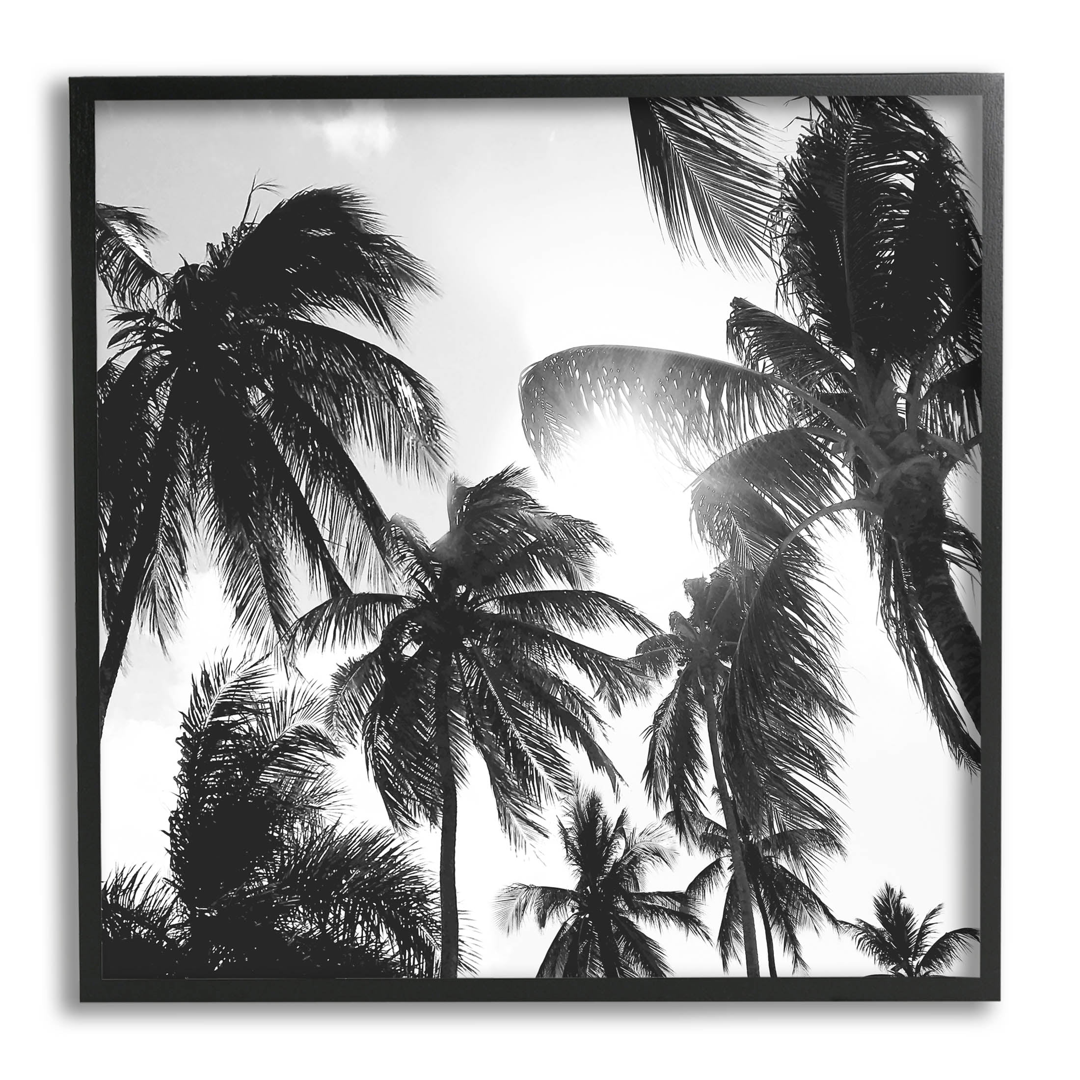 Sunlit Palm Tree Photography Landscape Photograph Black Framed Art Print Wall Art