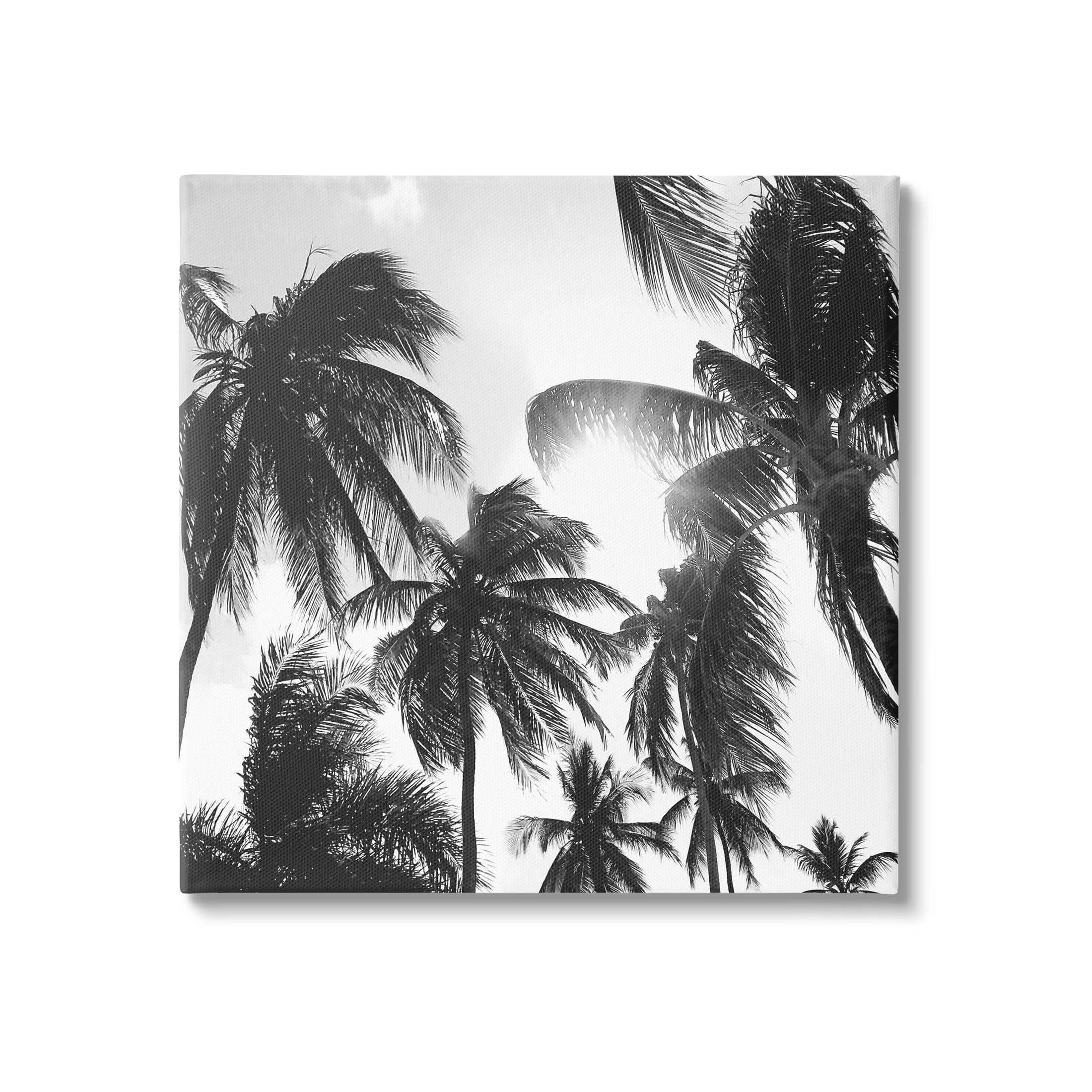 Sunlit Palm Tree Photography Landscape Photograph Gallery Wrapped Canvas Print Wall Art