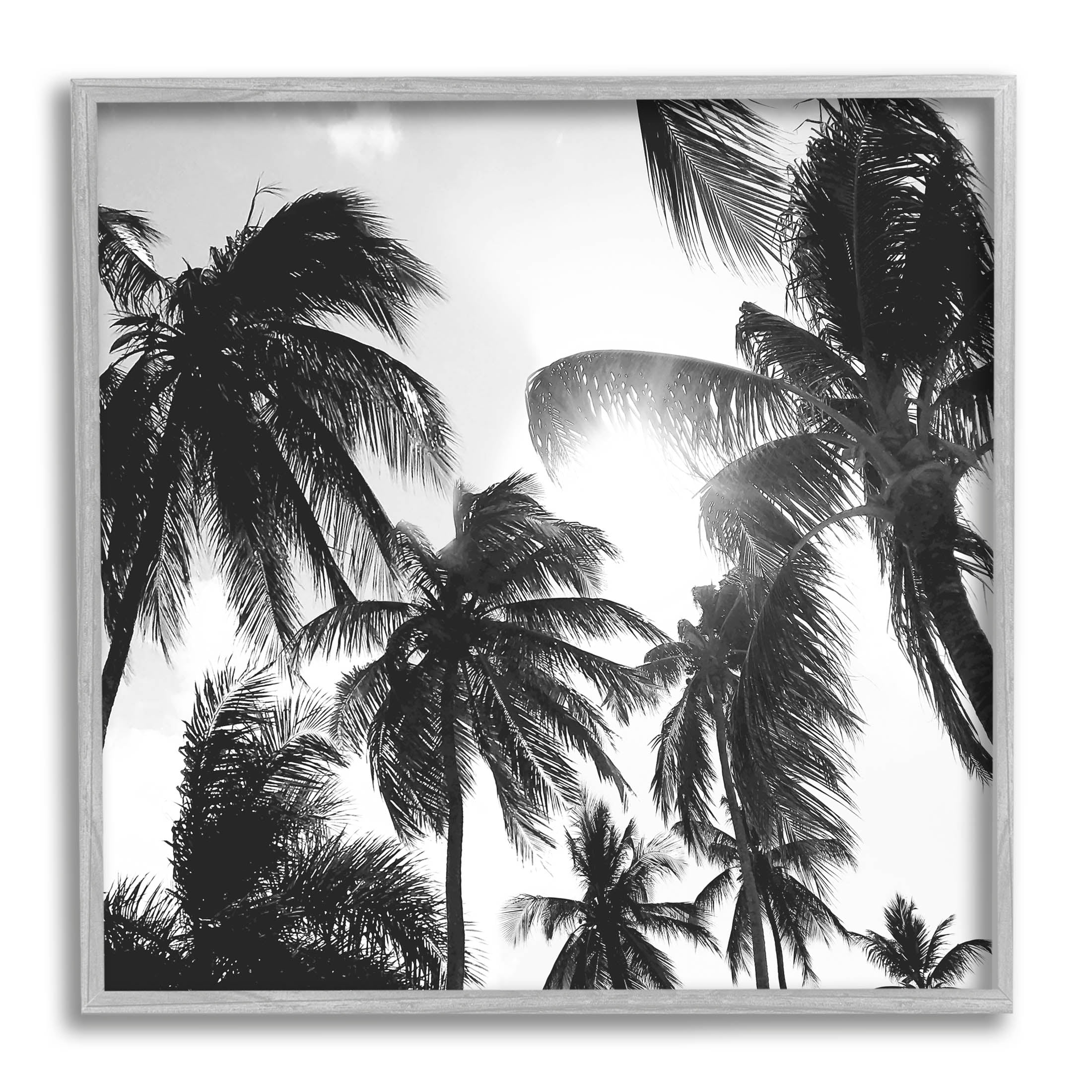 Sunlit Palm Tree Photography Landscape Photograph Gray Framed Art Print Wall Art