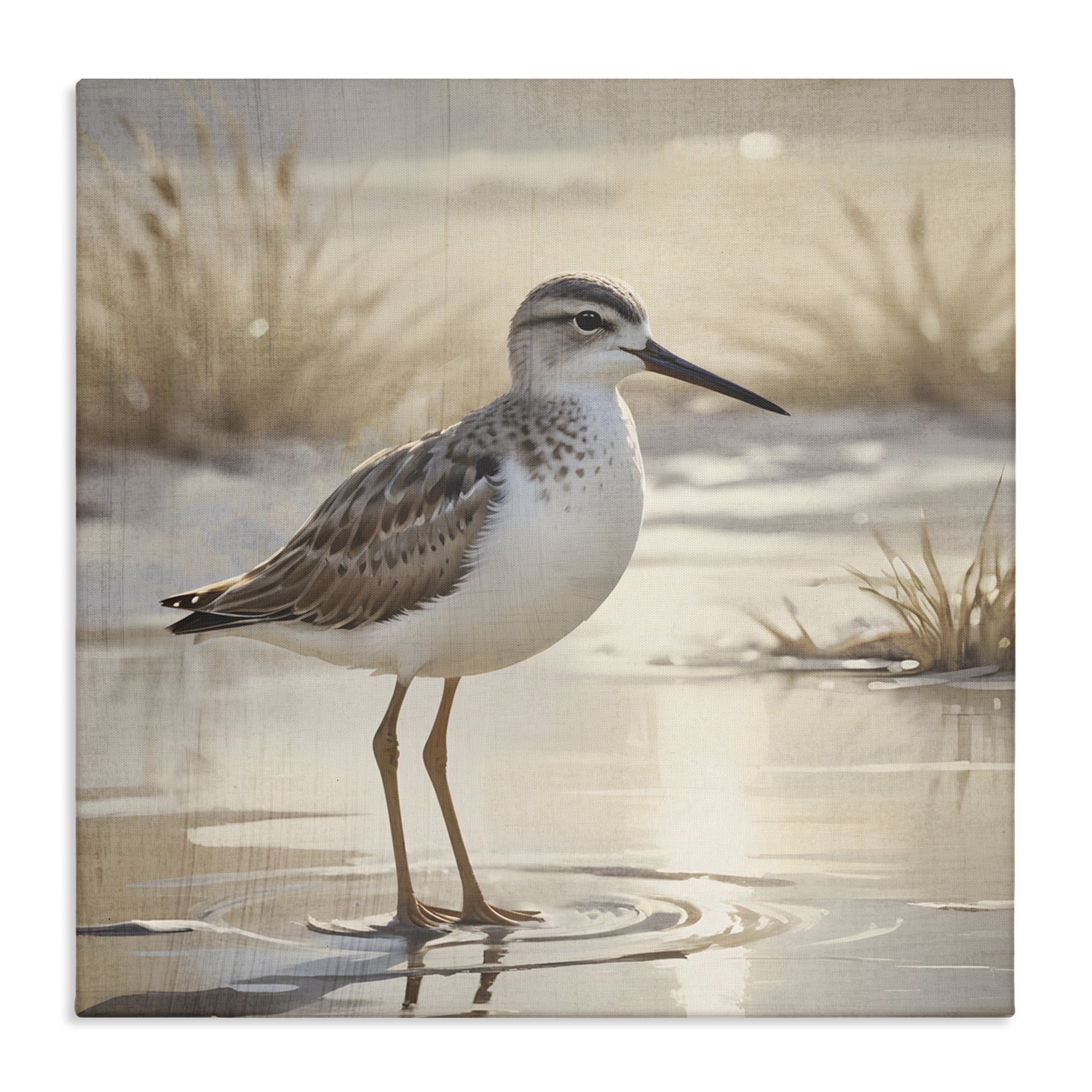 Stupell Industries Sunlit Sandpiper in Shallow Water Canvas Wall Art ...