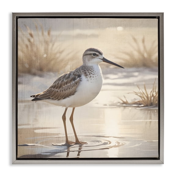 Stupell Industries Sunlit Sandpiper in Shallow Water Gray Framed Floater Canvas Wall Art, design by Susan Arnot, 18 x 18