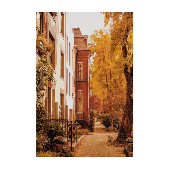 Sunlit Swann Street - Washington District of Columbia Photography Autumn Cityscape Architecture Street Photography Vintage Scenic Botanical Unframed Wall Art Print 4 x 6 inches