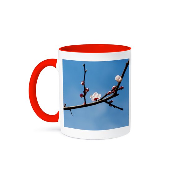 3drose, Sunlit White Flower of Chinese Plum Prunus Mume Tree, Blue Sky, 11oz Two-tone Red Mug