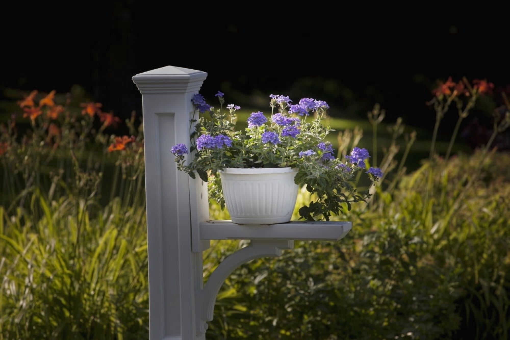 Sunlit purple flowers in a pot Granby Quebec Canada Canvas Art - David Chapman Design Pics (38 x 24)