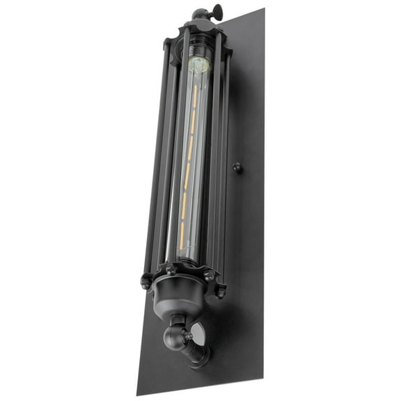 Sunlite 07038 - 1 Light (Medium Screw Base) Iron Rust Plate Sconce Light Fixture (AQF/WTP/IR)