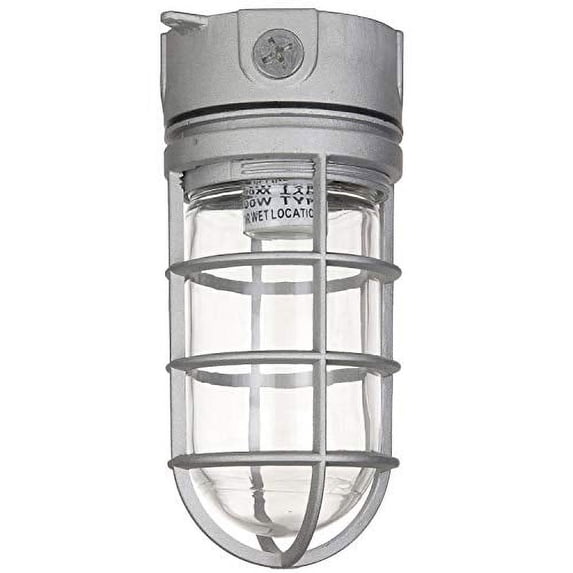 Sunlite 41329 - 100 watt 120 volt A19 Metallic Vaporproof Fixture (VT100)