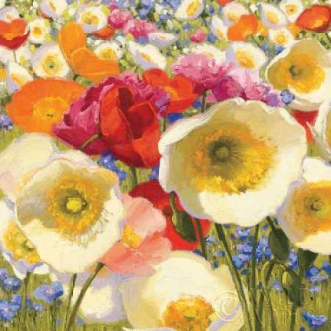 Sunny Abundance Canvas Art - Shirley Novak (24 x 24)