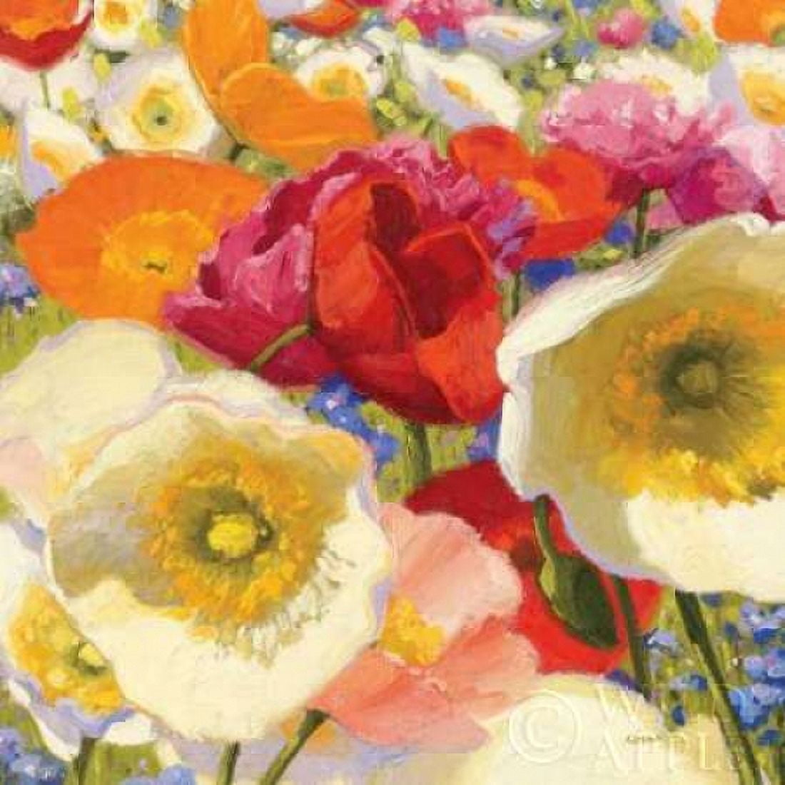 Sunny Abundance II Canvas Art - Shirley Novak (24 x 24)