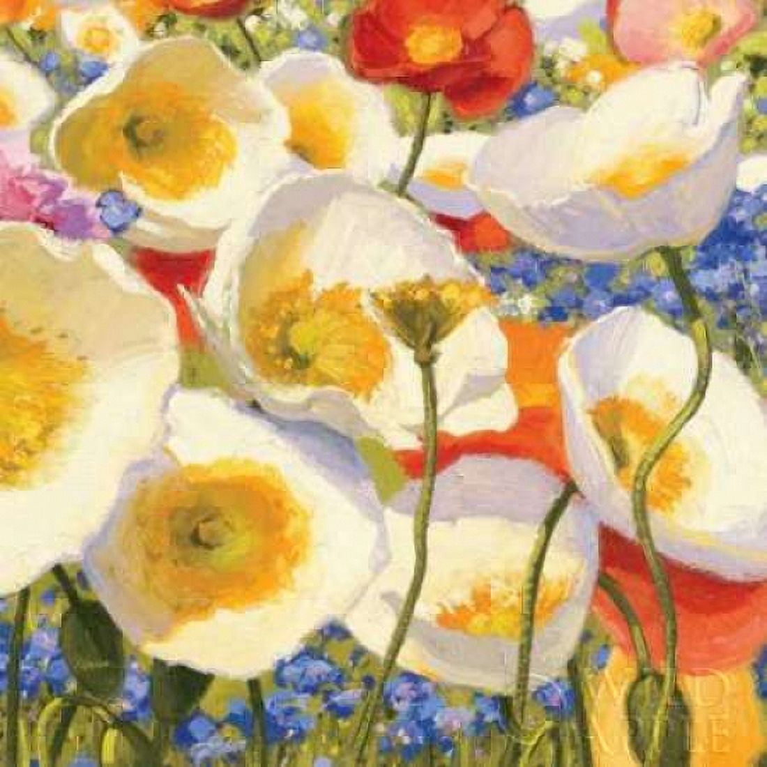 Sunny Abundance III Canvas Art - Shirley Novak (24 x 24)