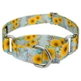 thumbnail image 1 of Country Brook Petz® Sunny Days Martingale Dog Collar, Medium, 1 of 5