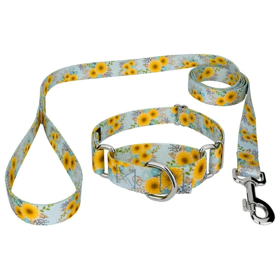 Country Brook Petz® Sunny Days Martingale Dog Collar and Leash, Large