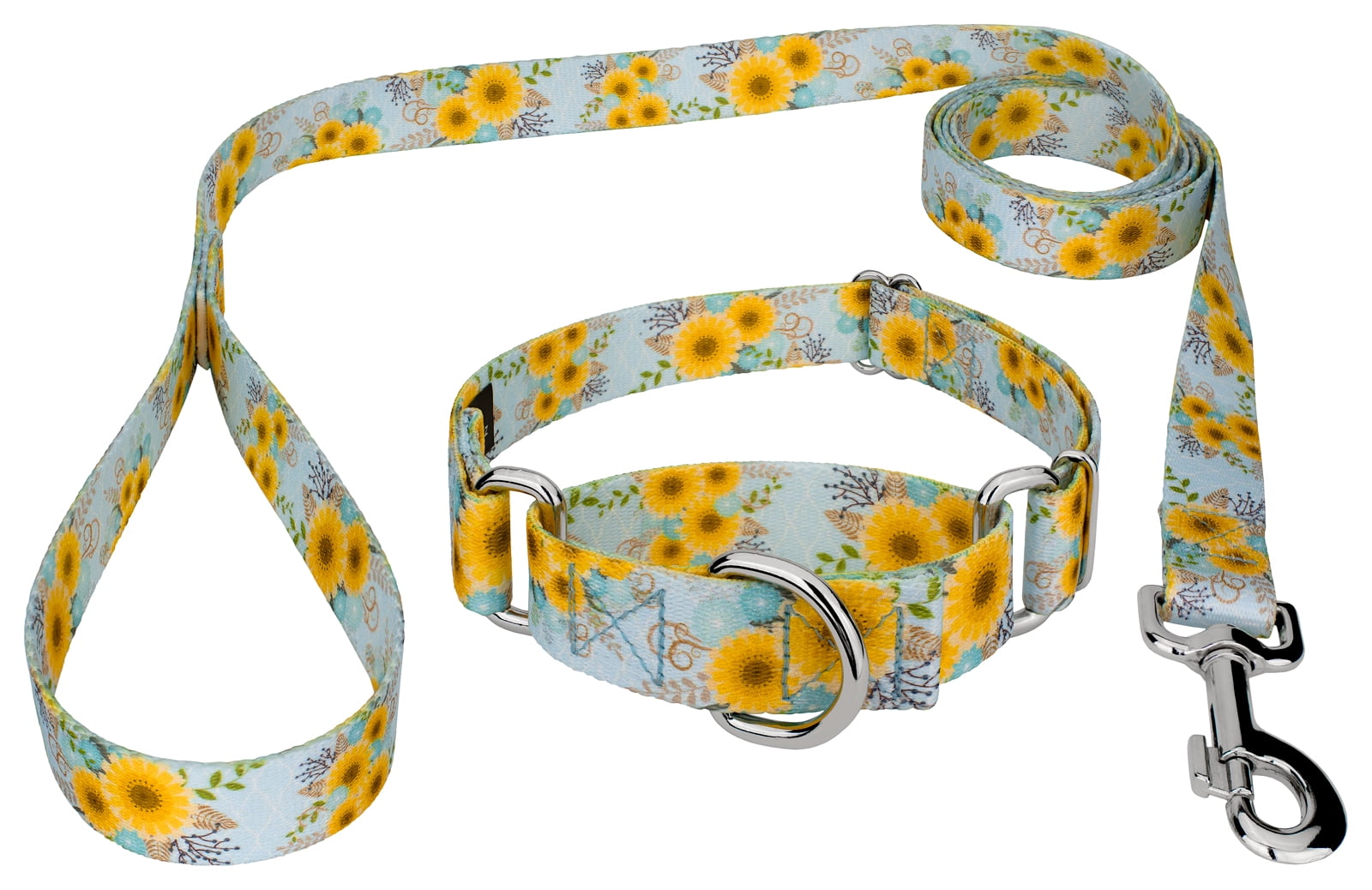 Country Brook Petz® Sunny Days Martingale Dog Collar and Leash, Medium