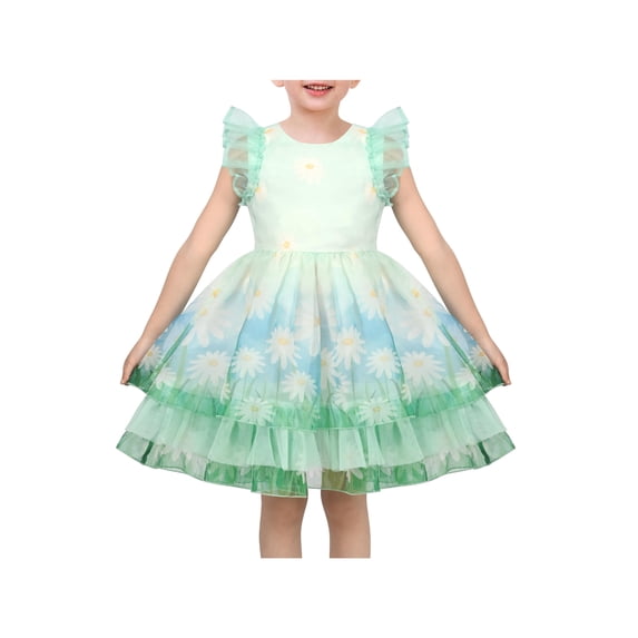 Sunny Fashion Girls Dress Sheer Tulle Overlay Daisy Ruffle Tiered Ballet Fancy Ball Fairy 4 Years