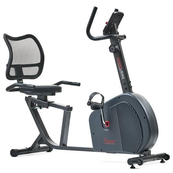 Edge 491 Recumbent Bike