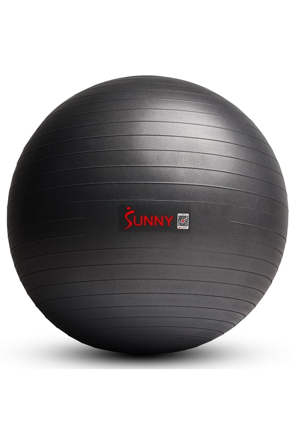 Premium Yoga Ball Large 75CM Anti-Burst Exercise Ball for Workouts, Pregnancy, Physical Therapy, Stability Ball Chair Fitness, Extra Thick Yoga Ball with Pump - SF-EB02-L
