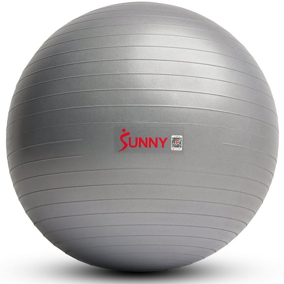Sunny Health & Fitness Premium Yoga Ball Small 55CM Anti-Burst Exercise Ball for Workouts, Pregnancy, Physical Therapy, Stability Ball Chair Fitness, Extra Thick Yoga Ball with Pump - SF-EB02-S