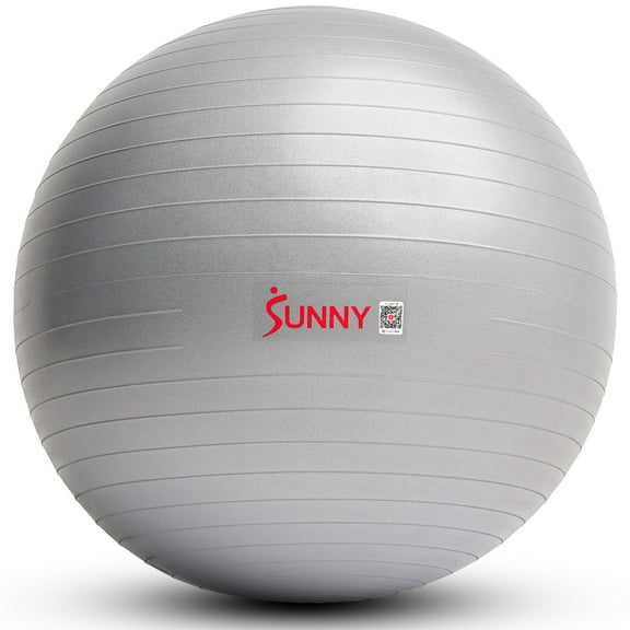 Sunny Health & Fitness Premium Yoga Ball X- Small 45CM Anti-Burst Exercise Ball for Workouts, Pregnancy, Physical Therapy, Stability Ball Chair Fitness, Extra Thick Yoga Ball w Pump - SF-EB02-XS
