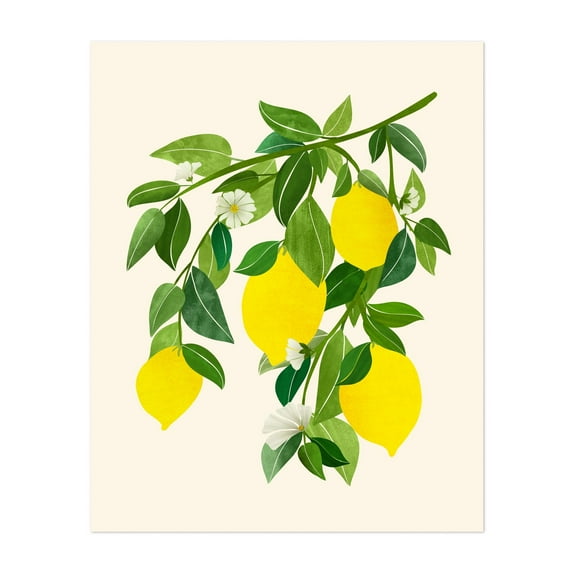 Sunny Lemons - Illustration Lemon Botanical Fruit Floral Flowers Kitchen Decor Summer Unframed Wall Art Print 24 x 30 inches