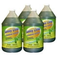 thumbnail image 1 of Sunny Lime Dishwash - 4 gallon case, 1 of 1