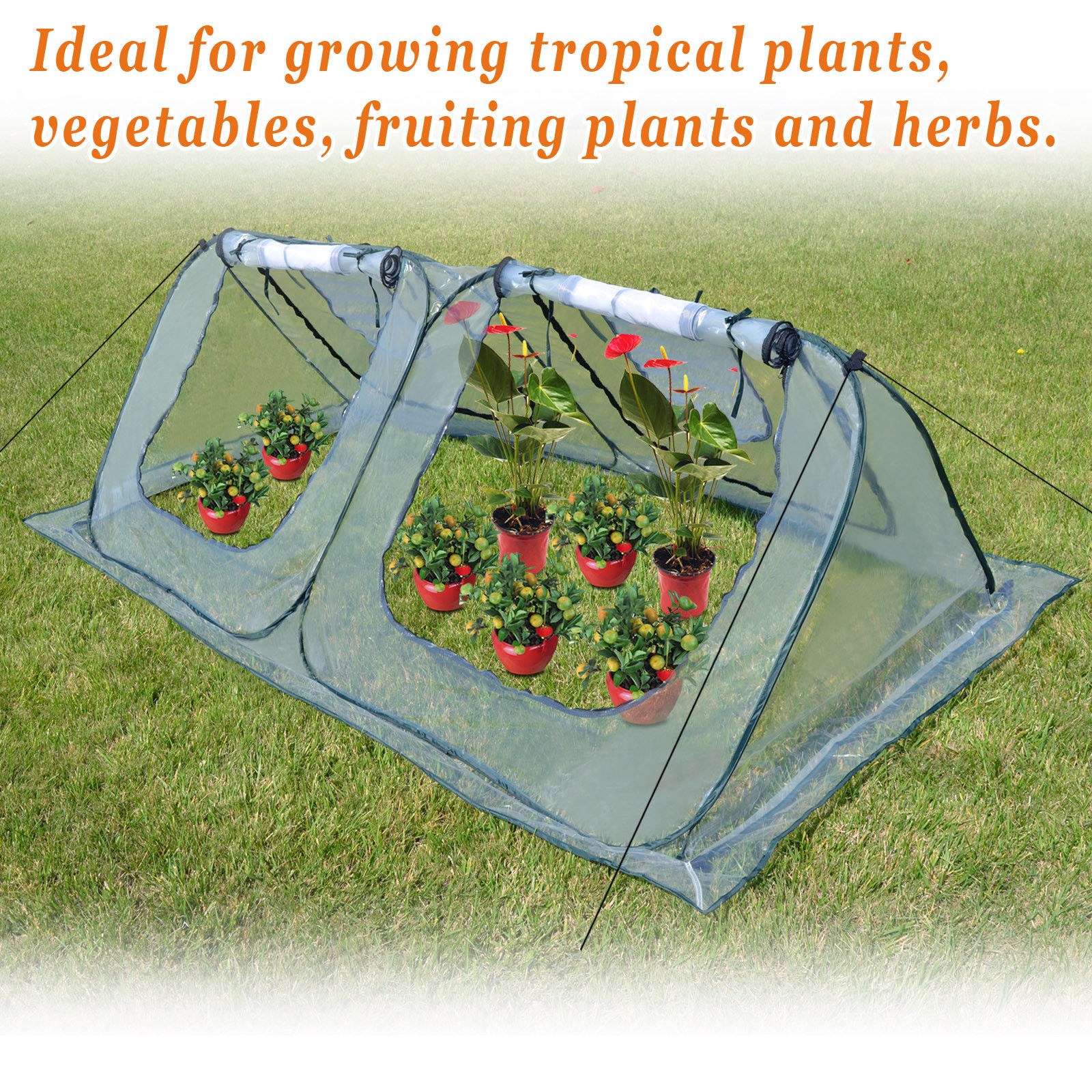 Sunny Outdoor Portable Mini 8'x4'x2.65' Long Triangle Gardening Plant Greenhouse, Transparent