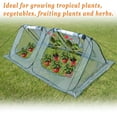 thumbnail image 1 of Sunny Outdoor Portable Mini 8'x4'x2.65' Long Triangle Gardening Plant Greenhouse, Transparent, 1 of 4