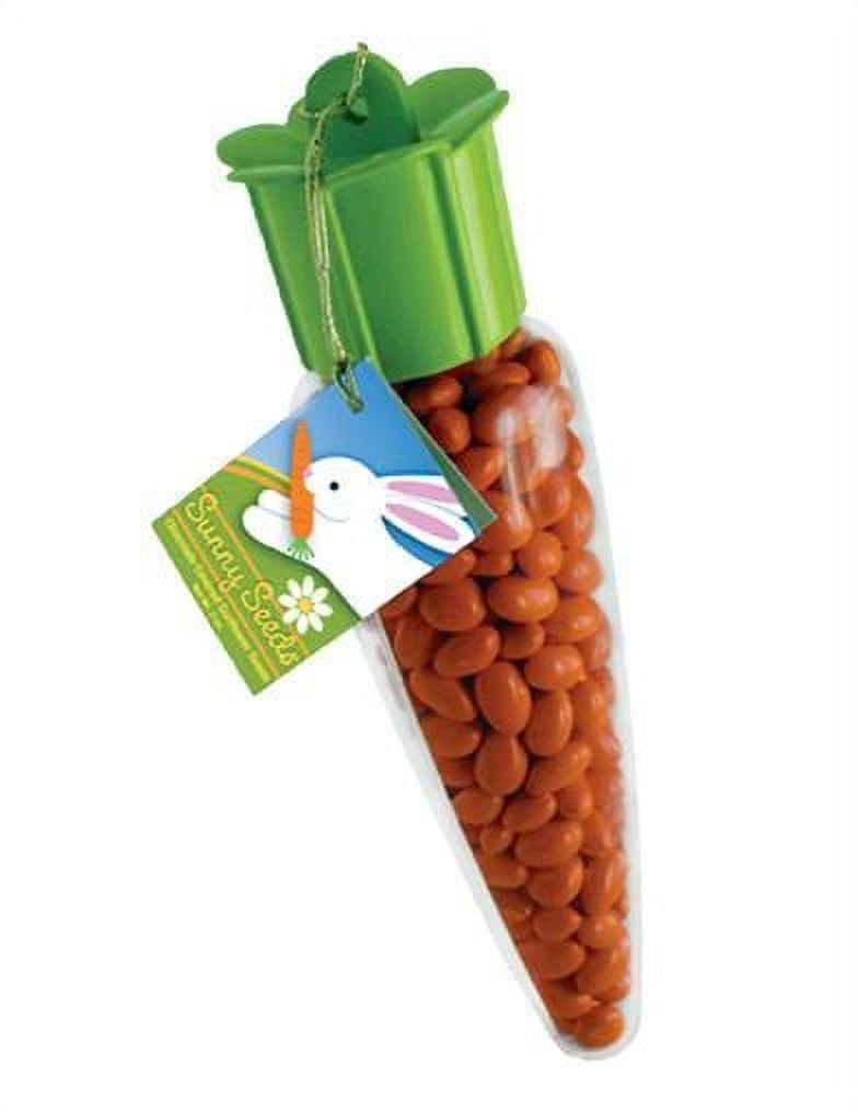 Sunny Seeds Carrot Chocolate Covered Sunflower Seeds