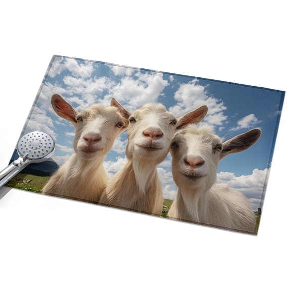 Sunny Sheep Washable Area Rug 2 x 3 ft Blue Sky Rustic Country Farm Realistic Natural Soft Non Slip Rugs Stain Repellent Indoor Felt Carpet for Living Dining Room Bedroom Home Office