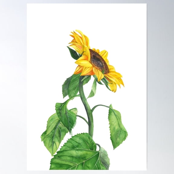 Sunny Side Up Poster Wall Art, Modern Wall Decor For Living Room Bedroom, 12x18 UNFRAMED
